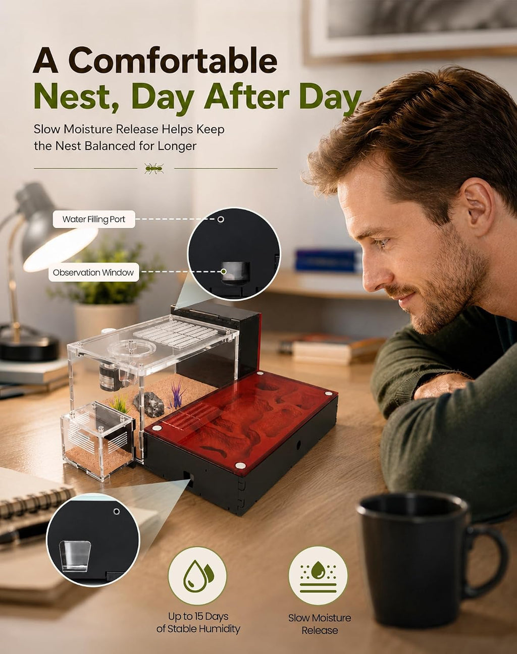Ant Formicarium for Live Ants & Queen, Dual-Level Ant Nest