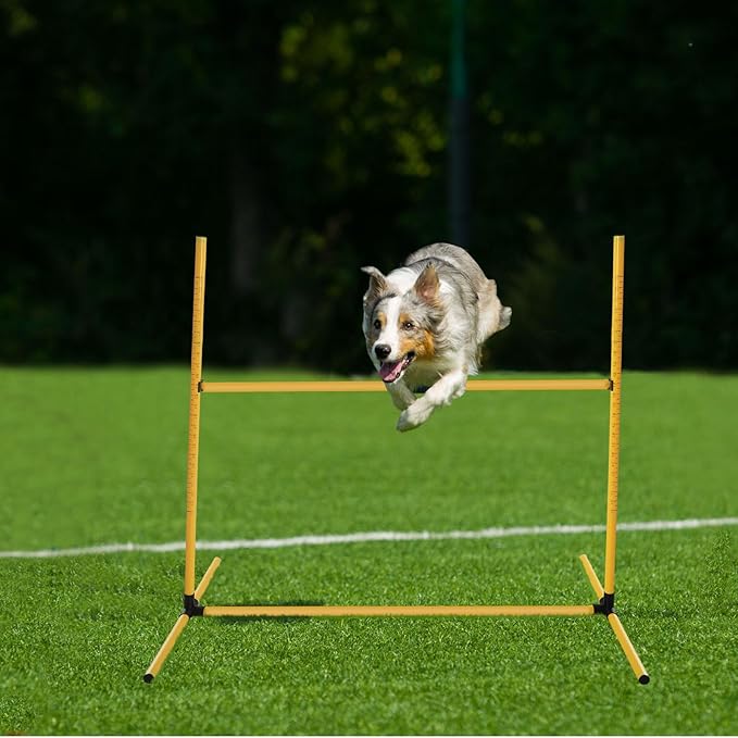 6 Pcs Dog Agility Training Equipments Dog Agility Jumps Hurdles Adjustable - Image 5