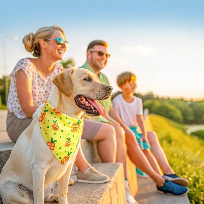 SCENEREAL 30 PCS Dog Bandanas Bulk, Summer Pet Bibs - Image 5