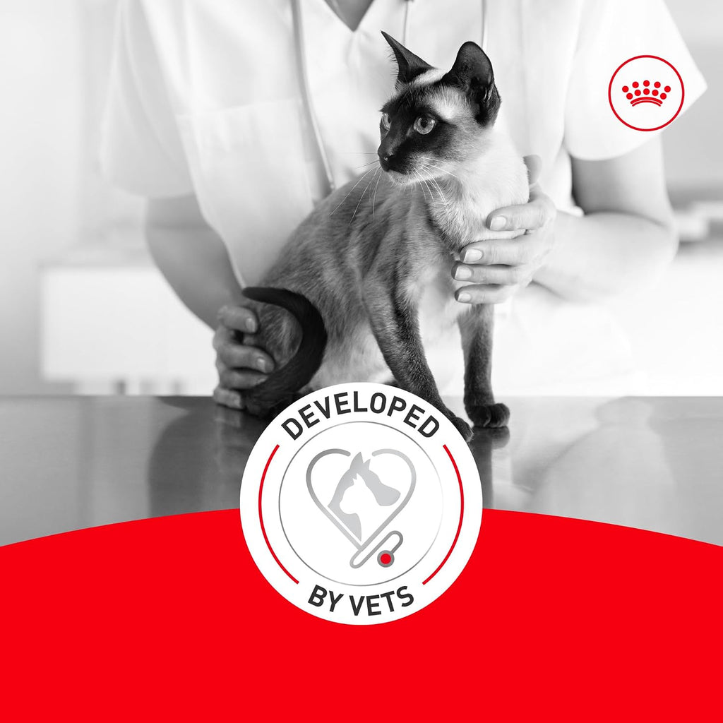 ROYAL CANIN Feline Health Nutrition Aging 11+ Wet Cat Food for Seniors, Thin Slices in Gravy for Cats Over 11 Years, Supports Optimal Health & Vitality, 3 oz can, case of 12