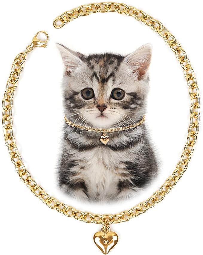 HOWWFALY Dog Collar and Cat Chain Necklace Stainless Steel Adjustable 18K Gold by HOWWFALY