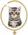 HOWWFALY Dog Collar and Cat Chain Necklace Stainless Steel Adjustable 18K Gold by HOWWFALY