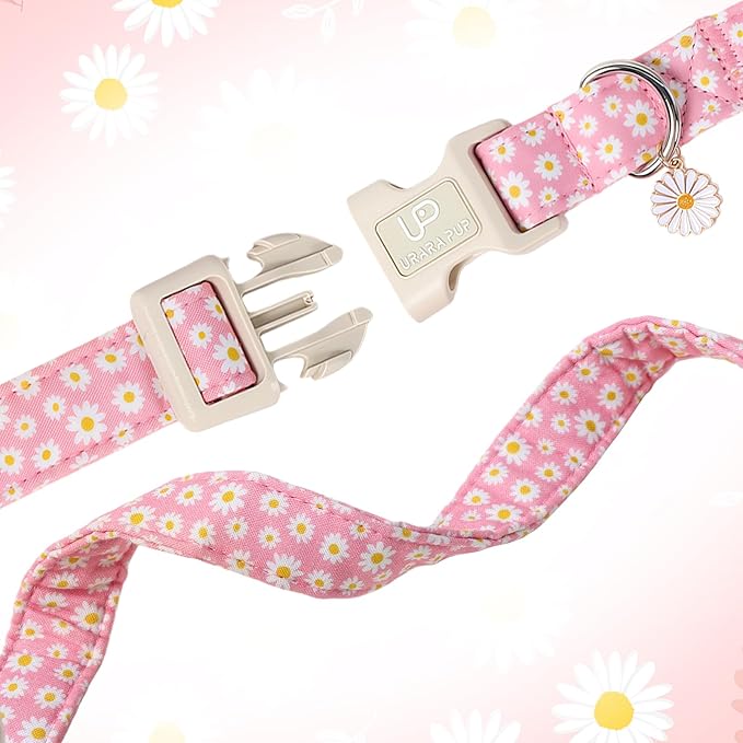 Daisy Dog Collar, Summer Cotton Dog Collar - Image 4