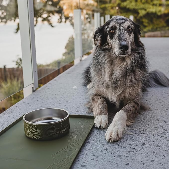 Wilderdog Silicone Pet Placemat Made - Image 7