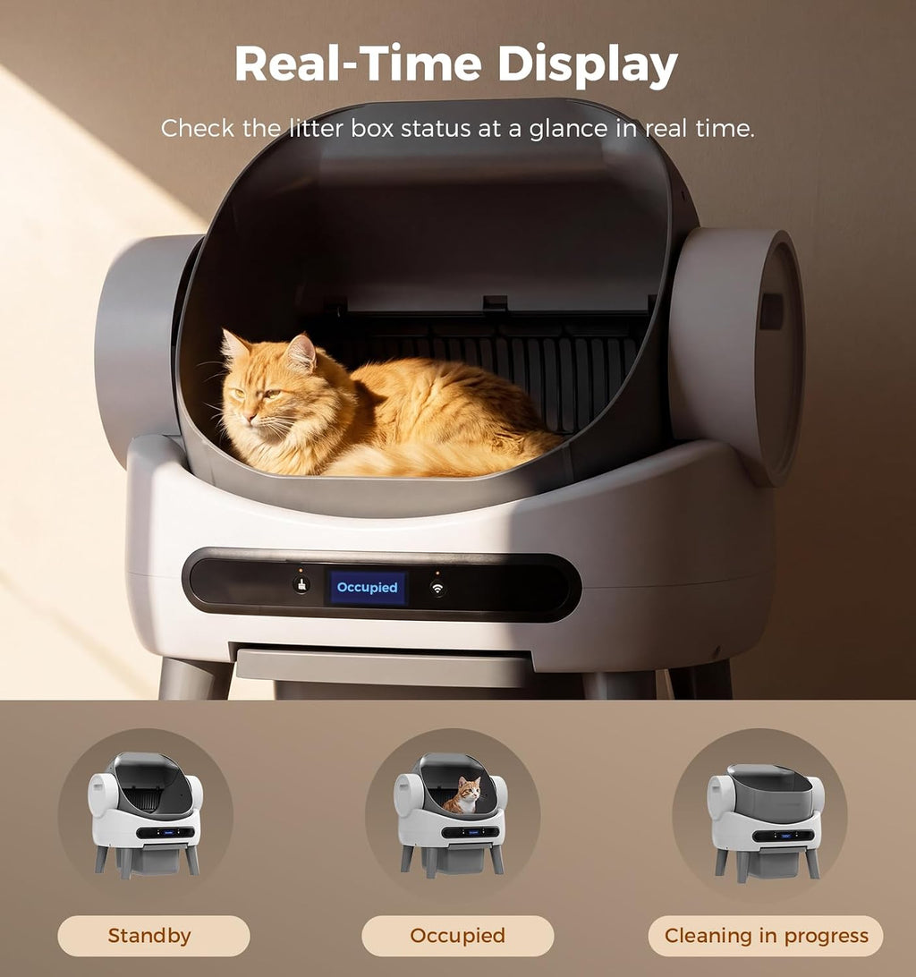 Automatic Litter Box, Open Top Self Cleaning Litter Box for Multiple Cats