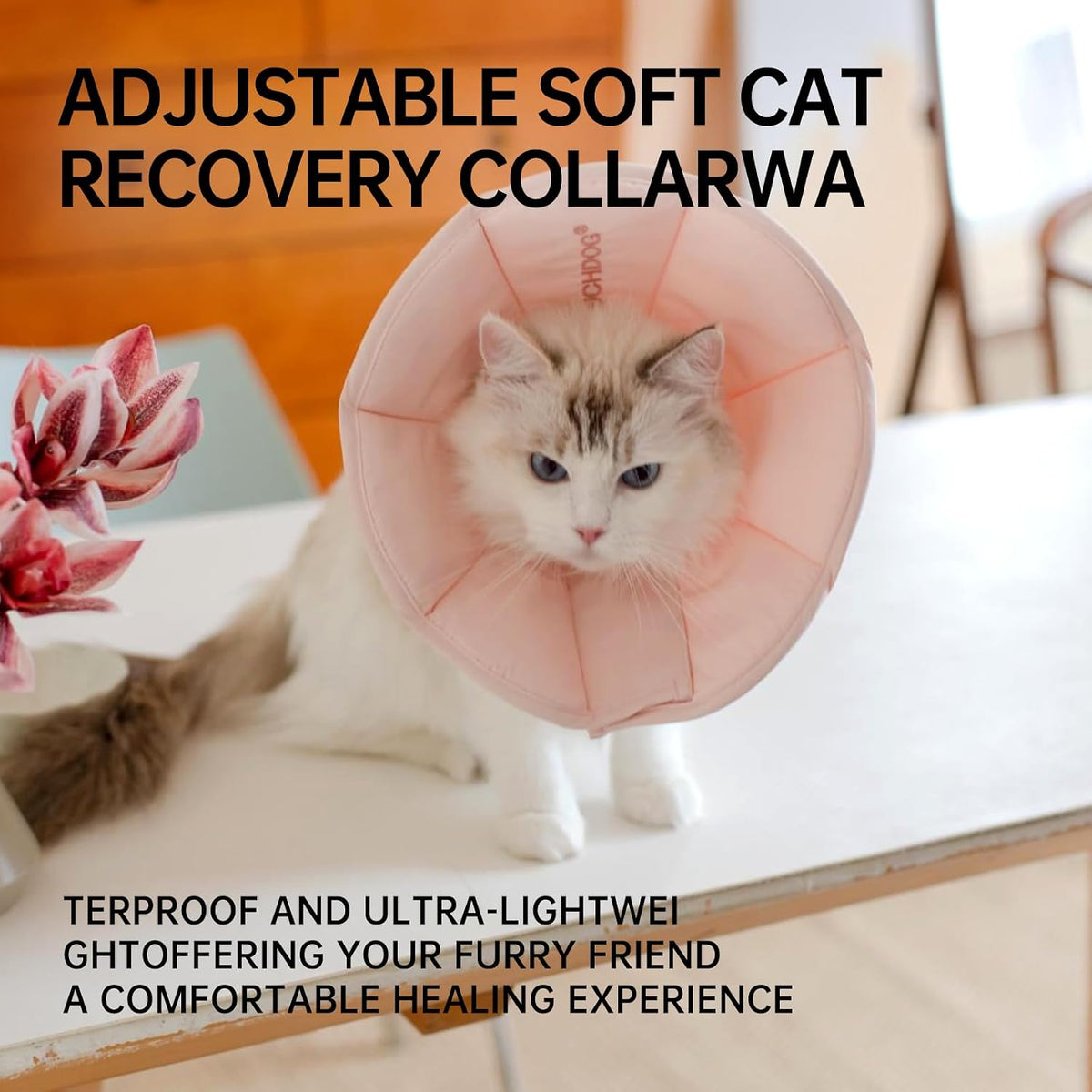 Touchdog Soft Cat Cone Collar, Waterproof Recovery E-Collar, Lightweight