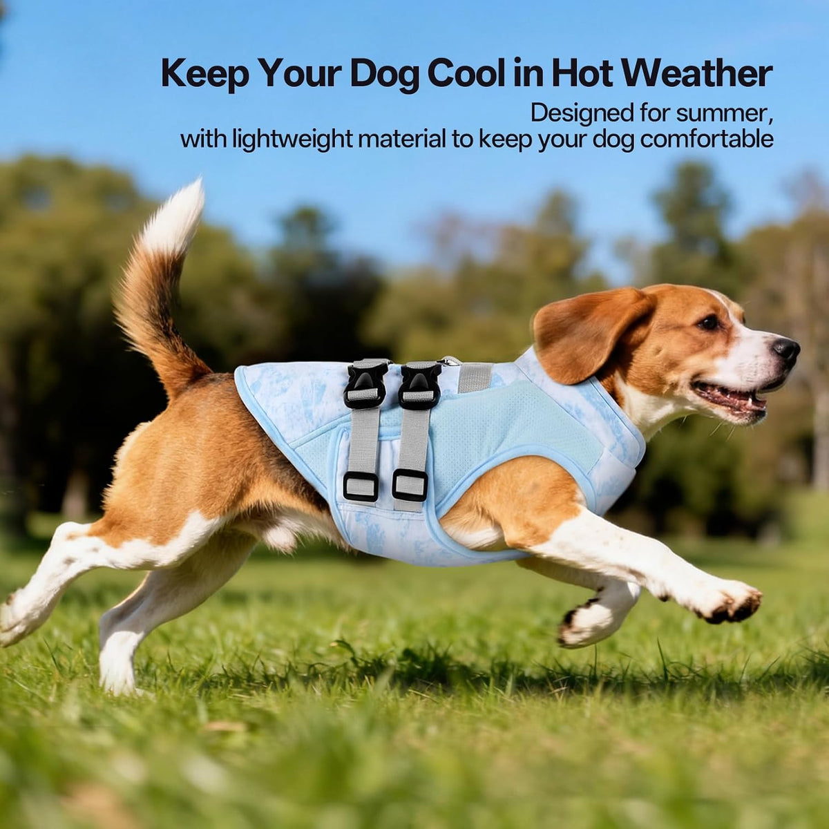 DORA BRIDAL Dog Cooling Vest for Summer, Lightweight Breathable Mesh Cooling Jacket with Harness, Soft Pet Cooler Shirt for Frenchie, UV Protection for Beach Hiking Walking -M, Blue