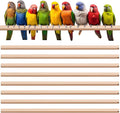 Sintuff 8 Pcs Bird Perches for Cage Accessories, Wooden Perch Rods Replacement by Sintuff