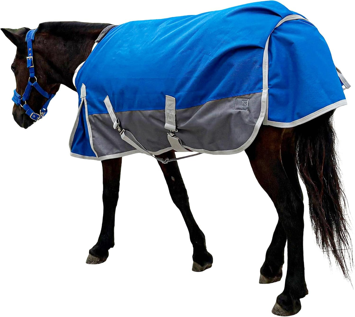 Waterproof 1200D Turnout Blanket for Pony & Mini Horse, 45 Inch