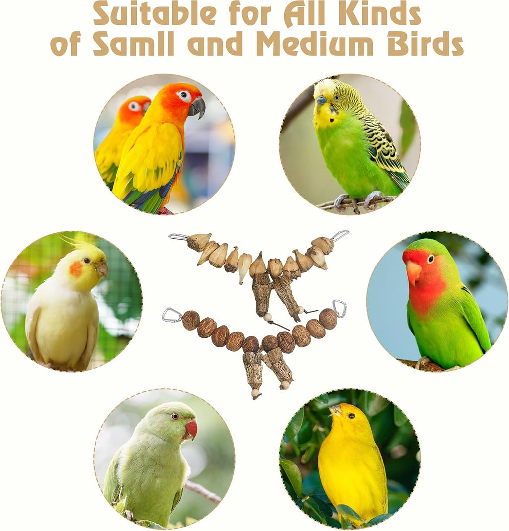 2 Pcs Bird Chew Toys Natural Parrot Chewing Toy