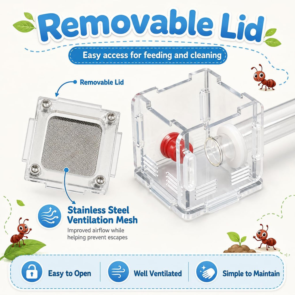 Mini Queen Ant Nest with Test Tube 2 x 2 x 2 Inch 18X180MM Transparent Acrylic Ant Farm for Small Colonies Starter Habitat Observation Formicarium