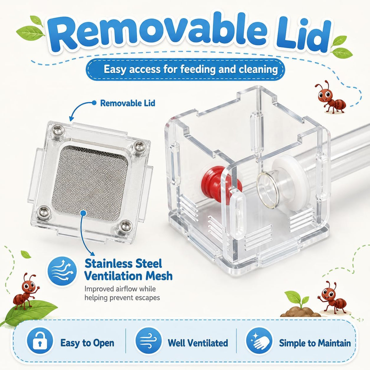 Mini Queen Ant Nest with Test Tube 2 x 2 x 2 Inch 18X180MM Transparent Acrylic Ant Farm for Small Colonies Starter Habitat Observation Formicarium