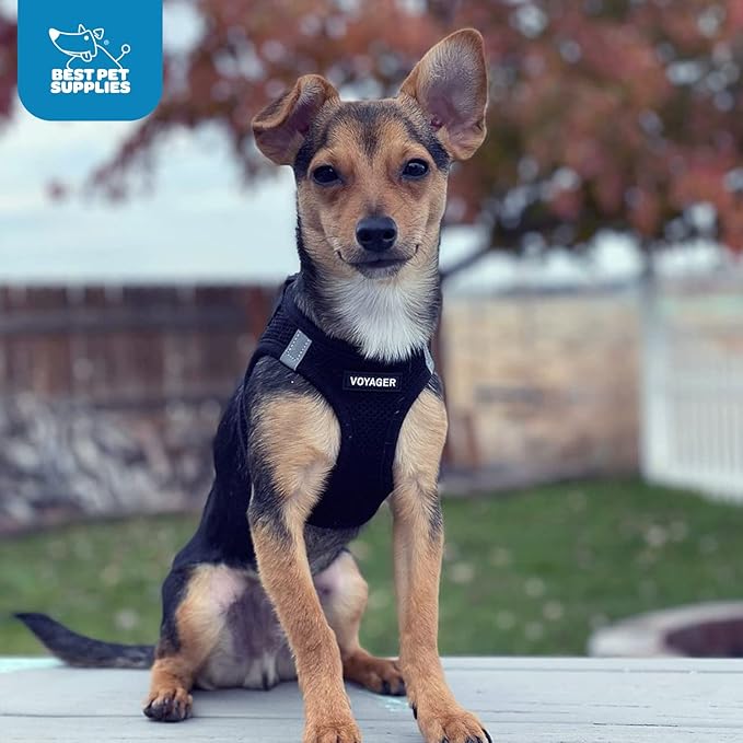 Best Pet Supplies Voyager Step-in Air Harness - Image 12