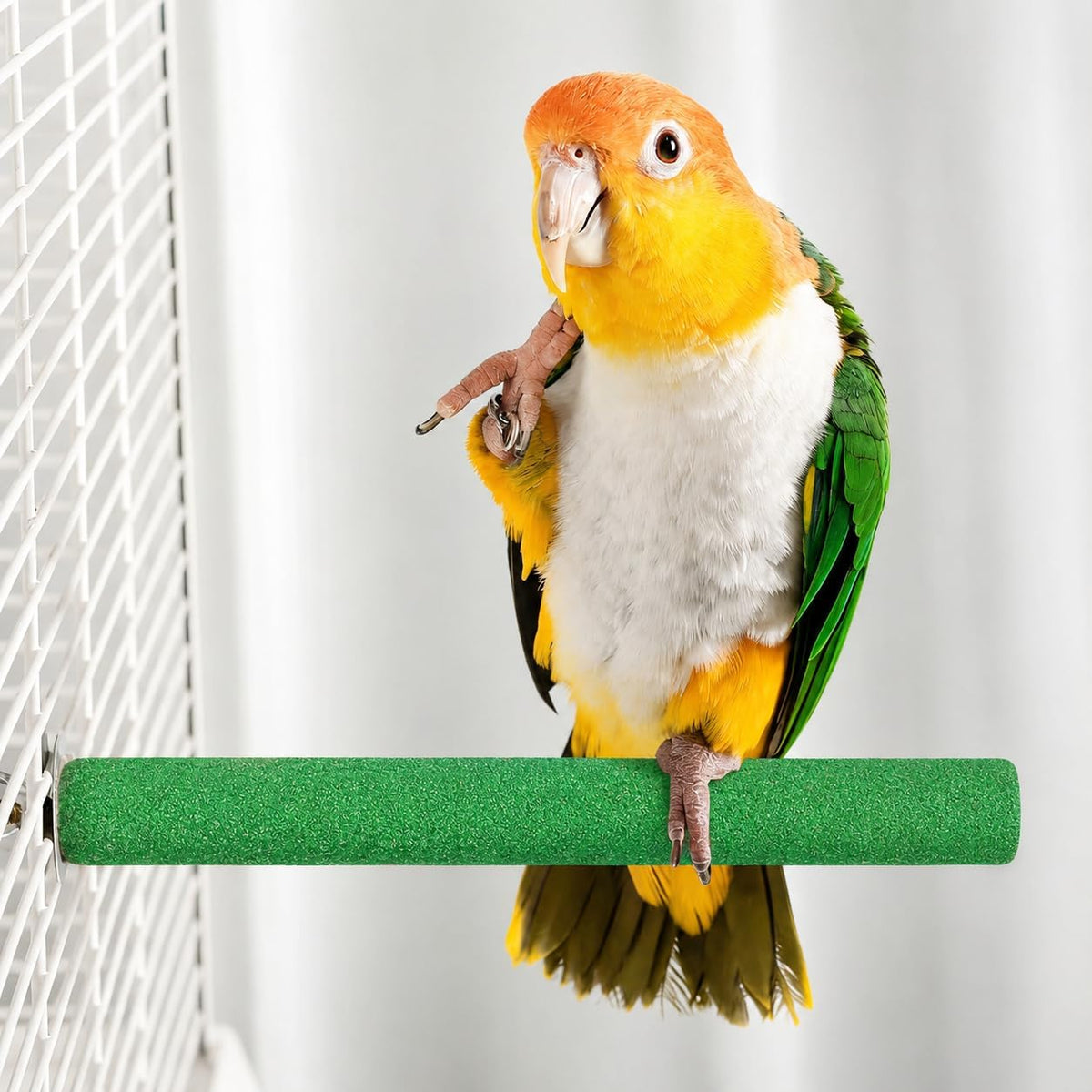 ASelected 14 PCS Bird Perch, Bird Cage Accessories Including Wood Parrot Stand Platform and Birds Nail Trimming Sticks, Colorful Parakeet Toys for Budgies, Parakeet, Cockatiel
