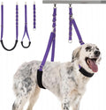 Dog Grooming Belly Strap - 3PCS Grooming Restraint Set Adjustable Belly Band Loops Strap with Padded Support & Loop Extension Straps Pet Grooming Harness Kit for Dogs (Voilet)
