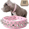 TEEMERRYCA Adjustable Leather Spiked Studded Dog Collars by TEEMERRYCA