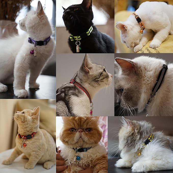 12 Pack Reflective-Breakaway Cat Collars - Image 7
