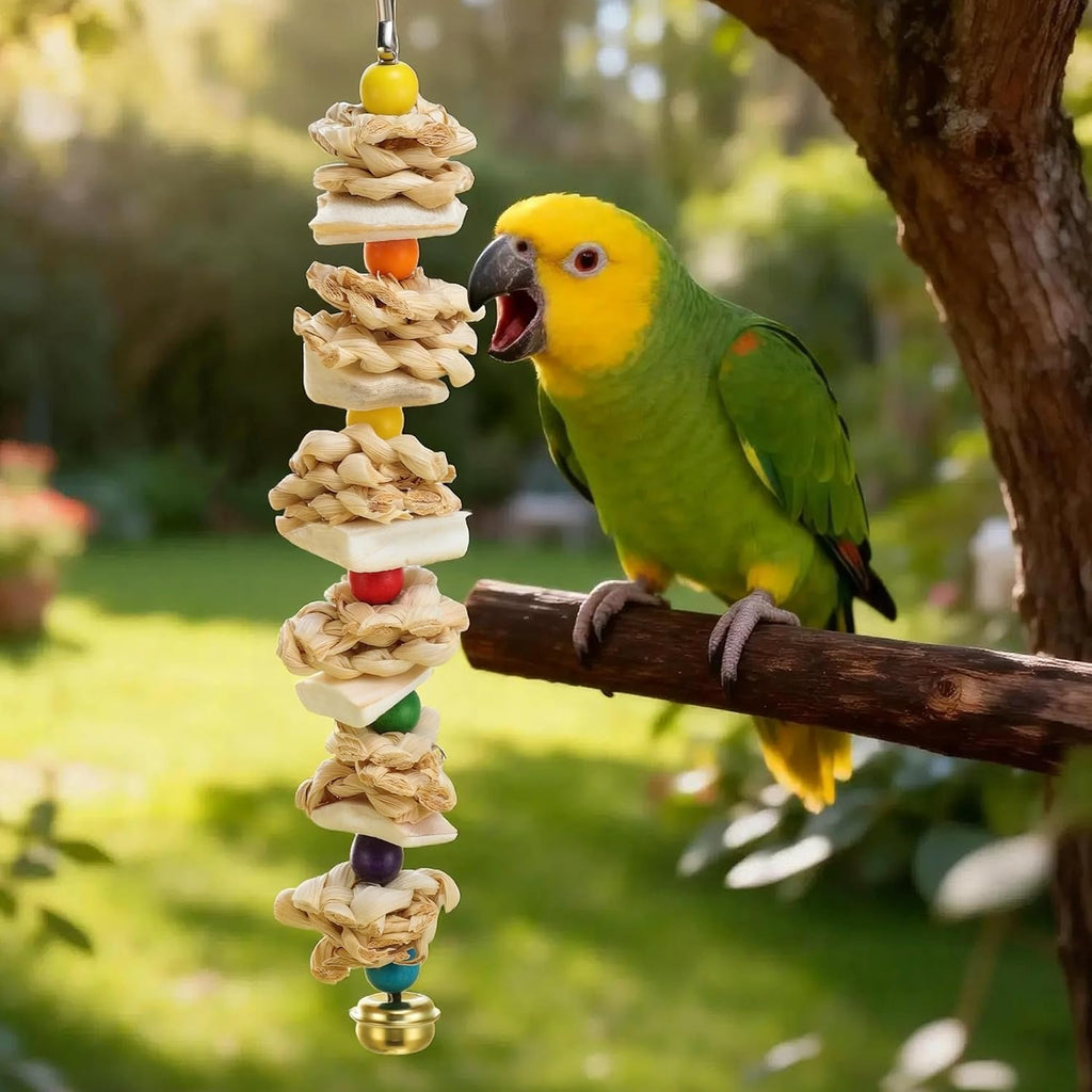 Bird Toys with Cuttlebone, Grinding Stone for Bird, 2 Pcs, B