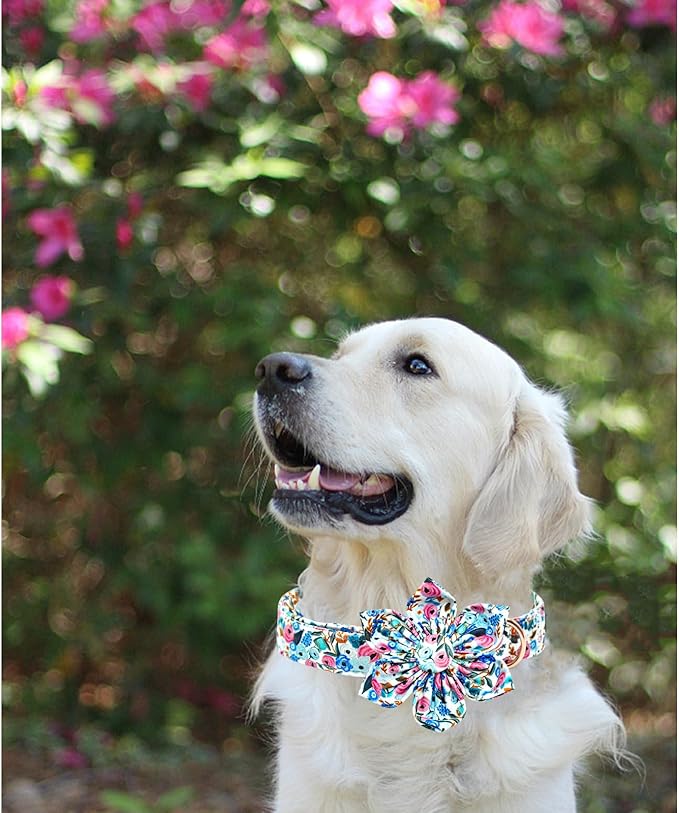 Lionheart glory Dog Collar Flowers Collar Floral Dog Collar - Image 3