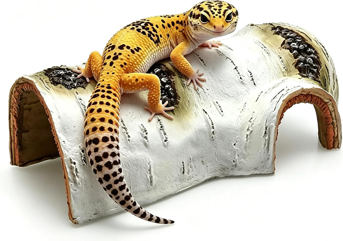 Nature-Inspired Hideout:The Best Bark-Texture Hide for Reptile or Fish