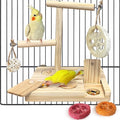 Bird Foraging Toys Parrot Enrichment Puzzle Toy Bird Playground Exploring by Hamiledyi