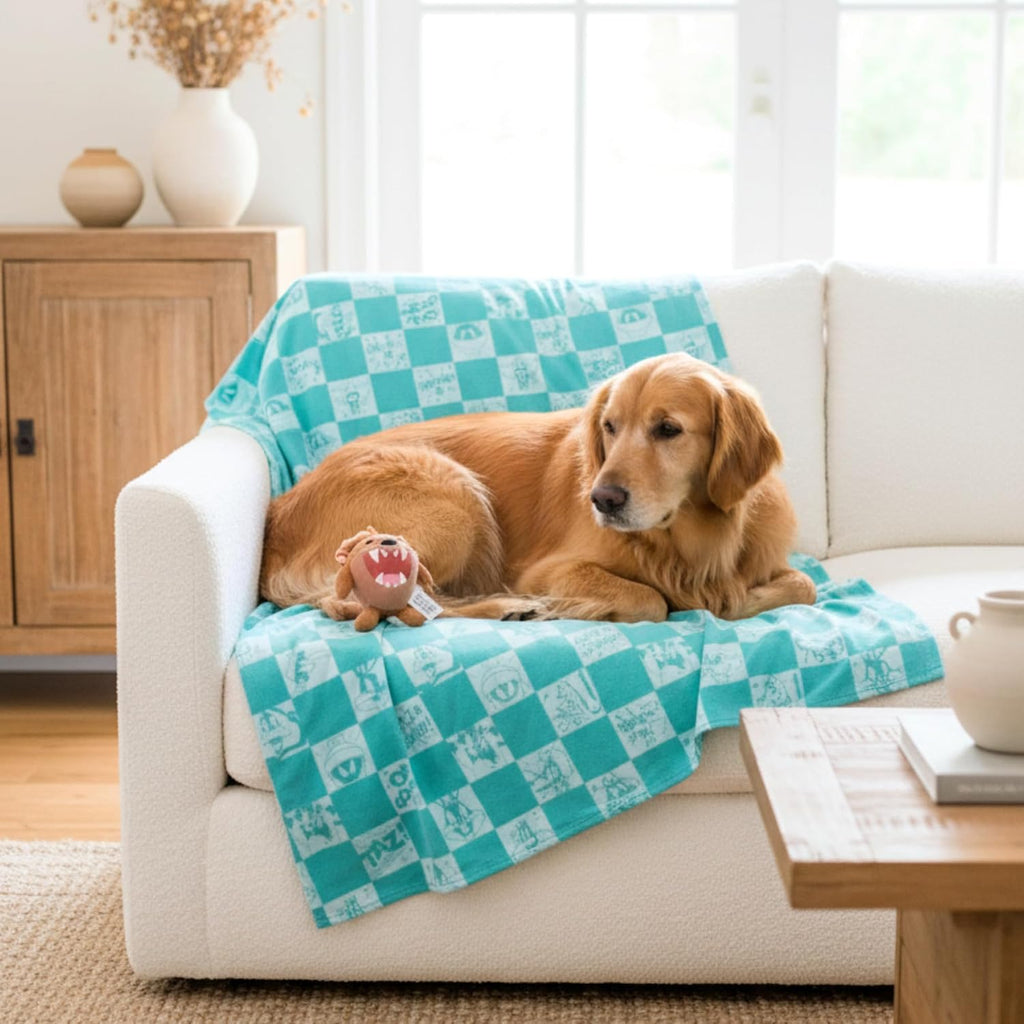 Peanuts Snoopy Pet Throw & Squeaky Pillow Set, Stimulating Toy As Gifts for Puppies, Cats, Dogs, (Officially Licensed) By Franco
