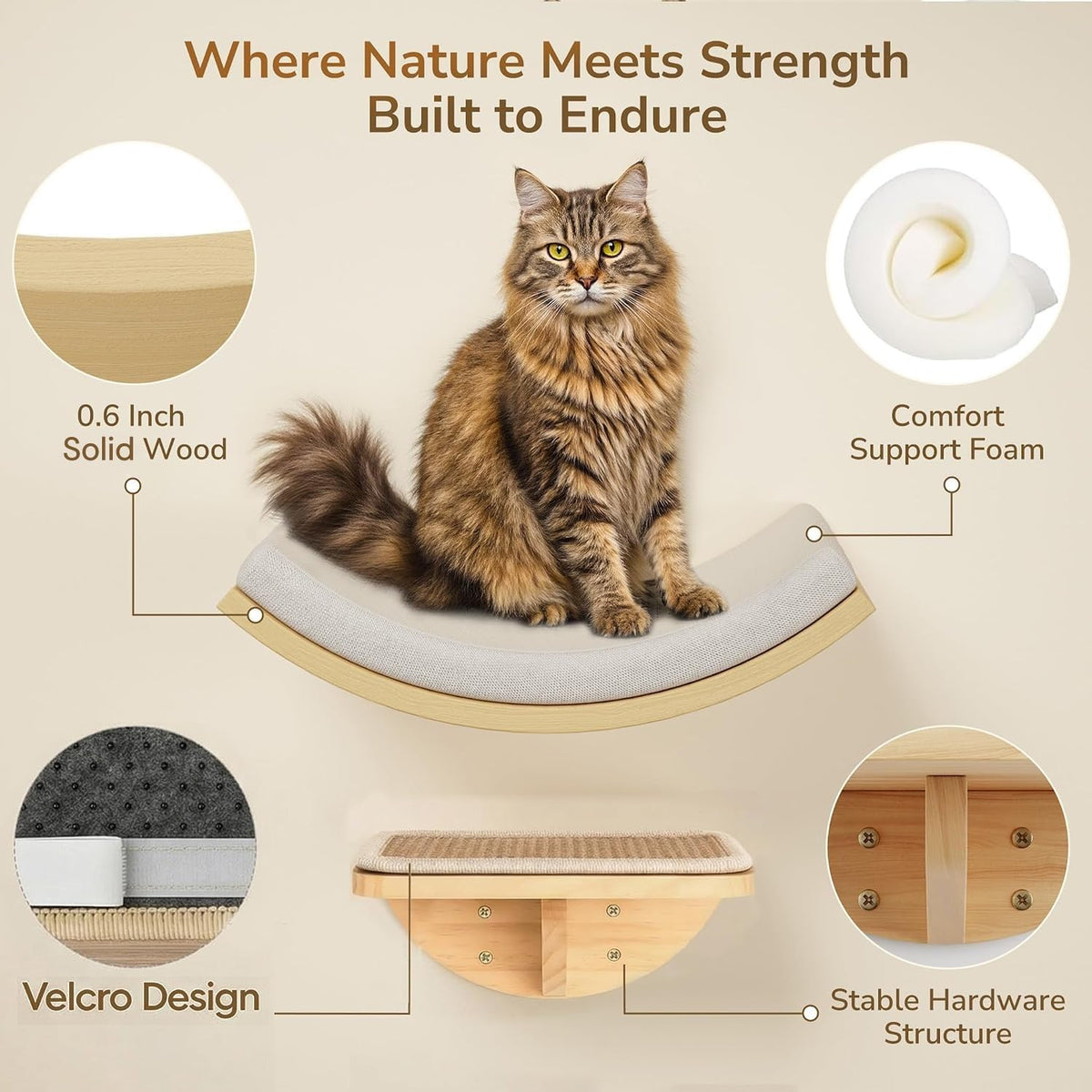 Cat Window Perches, Cat Wall Shelves with Curved Bed and 2 Sisal Mat Steps