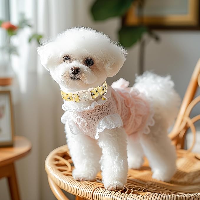 Bee & Daisy Dog Collar for Medium Dogs - Image 5
