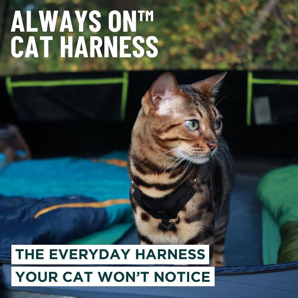 Always On™ Martingale Cat Harness (Neon Reflective, M/L)