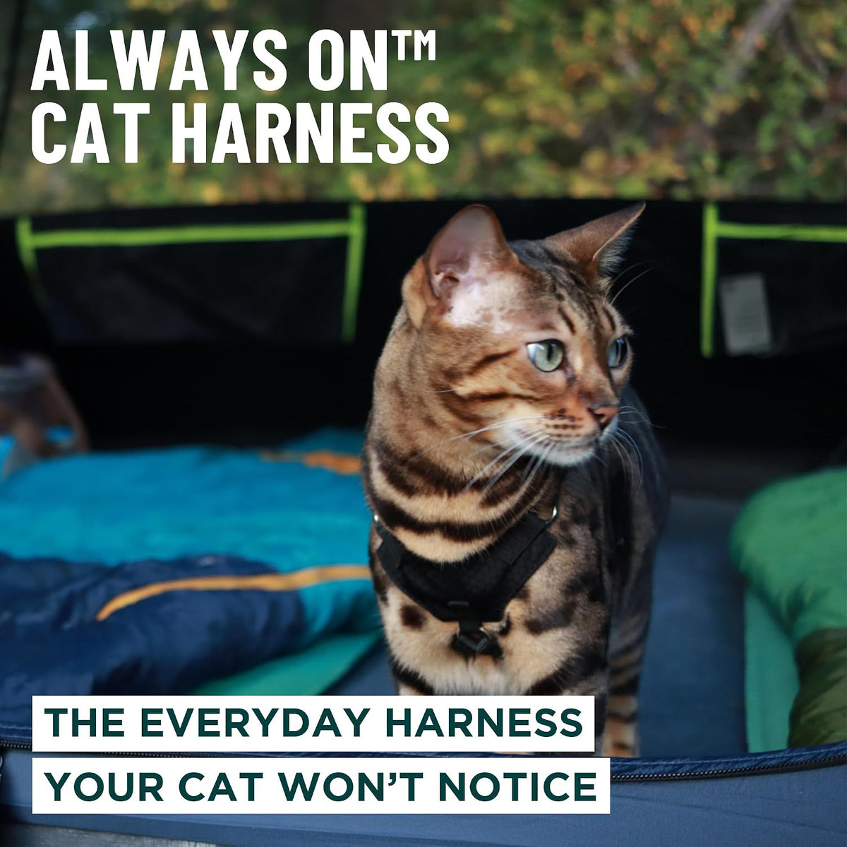 Always On™ Martingale Cat Harness (Neon Reflective, M/L)