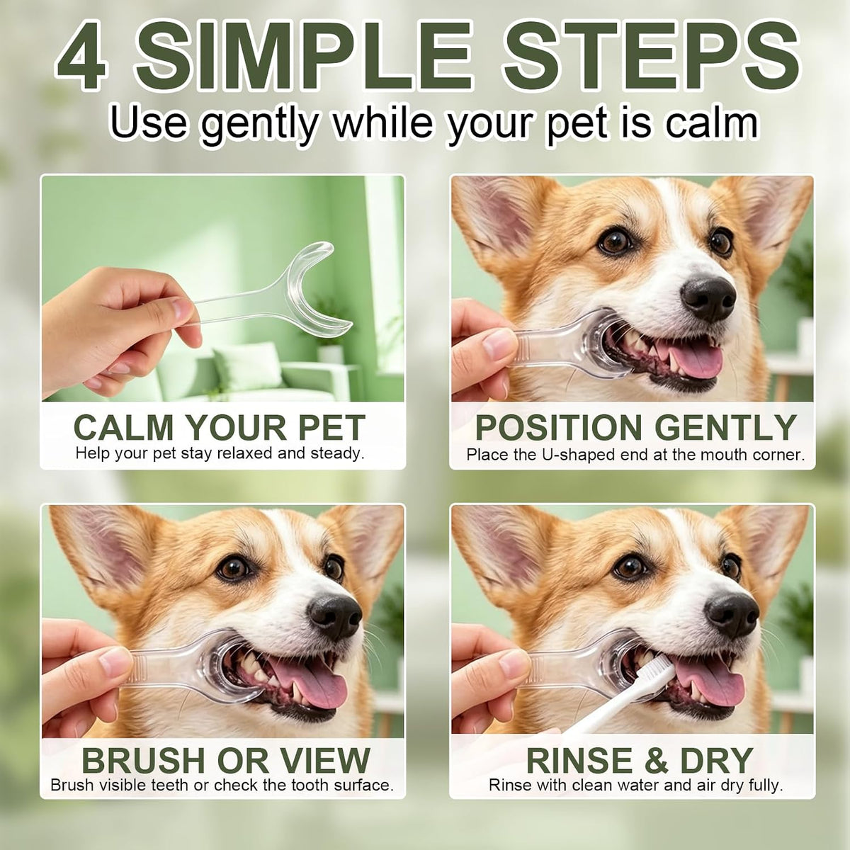6 Pack Pet Tooth Brushing Helper for Dogs & Cat, Dog Dental Mouth Opener
