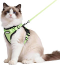 rabbitgoo Cat Harness and Leash by rabbitgoo