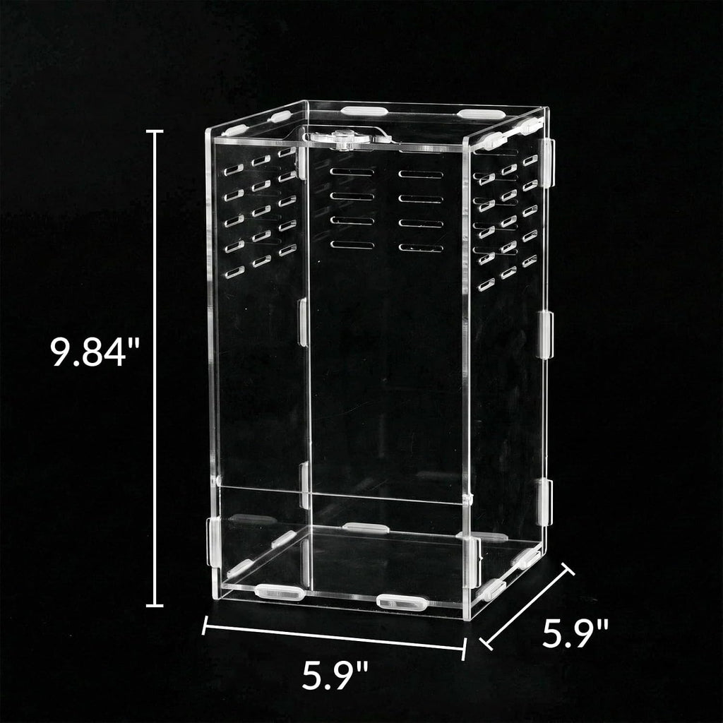 9.8 Inch Jumping Spider Enclosure, Desktop Micro Terrarium, Breeding Box, 360° Clear Acrylic Insect Habitat, 3-Side Ventilation, Easy Assembly, for Mantis, Tarantula, Snail, Small Reptiles, Plants