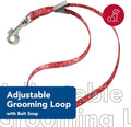 Coastal Pet Styles Adjustable Grooming Loop with Bolt, 3/8" x 18", 2 Pack