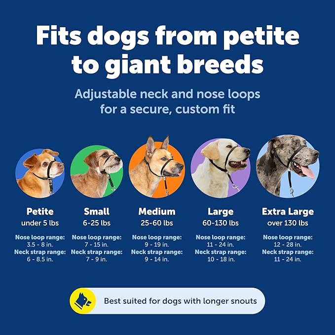 PetSafe Gentle Leader Headcollar No-Pull Dog Collar - Image 5