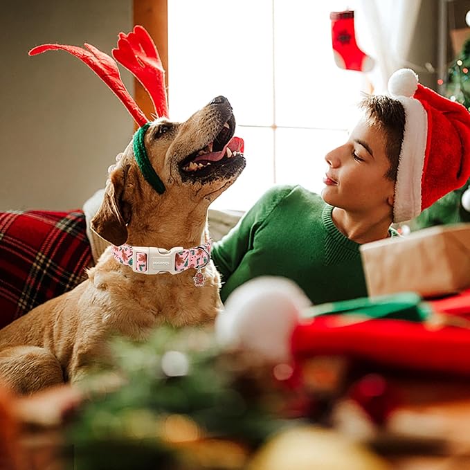 DOGWONG Christmas Dog Collar - Image 4