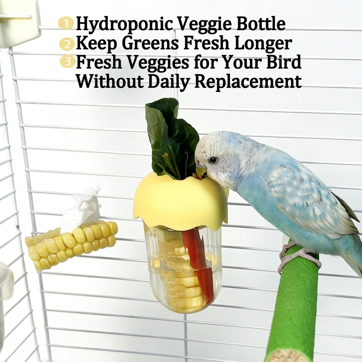 No Mess Bird Cage Feeder Automatic Food Dispenser for Parakeet Small Birds