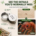 StackCore Stackable Series - White Habitat-(Flat Ant Nest) with Starter Tool Kit