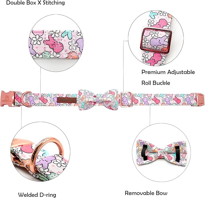 Lionheart Glory X-Small Dog & Rabbit Collar - Image 2