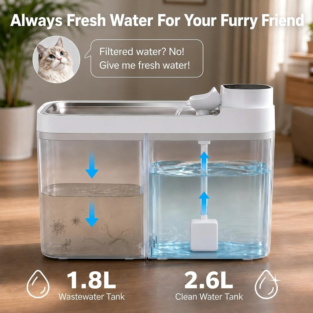 Cat Water Fountain No Filter Wastewater Separation Cat Fountain Silent