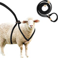 Goat Harness For Walking - Washable Goat Leash And Accessories - Livestock Supplies