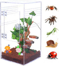Jumping Spider Enclosure Acrylic Jumping Spider Terrarium with Front Opening Door, Micro Habitat Terrarium for Small Tree Dwelling Reptiles, Arboreal Tarantula Enclosure (6X6X12 Inches)
