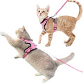 Luxelle 2 Pack Escape-Proof Cat Harness and Leash Set by Unknown