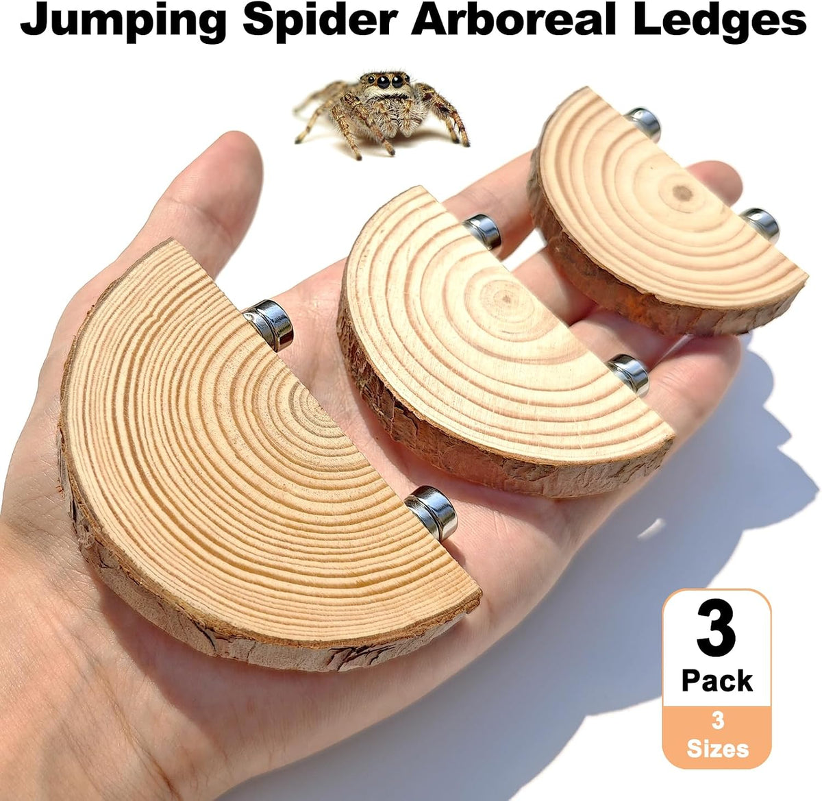 3 Pack Jumping Spider Enclosure Climbing Platforms, Magnetic Jumping Spider Wooden Ledge Ladder, Jumping Spider Accessories, Habitat Decor for Small Light Critters