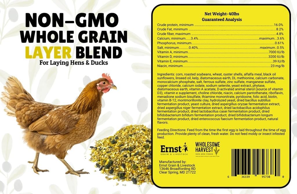 Non-GMO Whole Grain Layer Blend 16% - Chicken Feed for Laying Hens and Ducks - Includes Essential Oils, Herbs, Oyster Shells, Vital Minerals, and Omega 3, 10lb