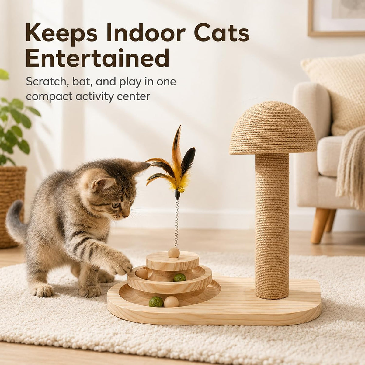 Kitten Scratching Post for Indoor Cats with 2-Level Ball Track