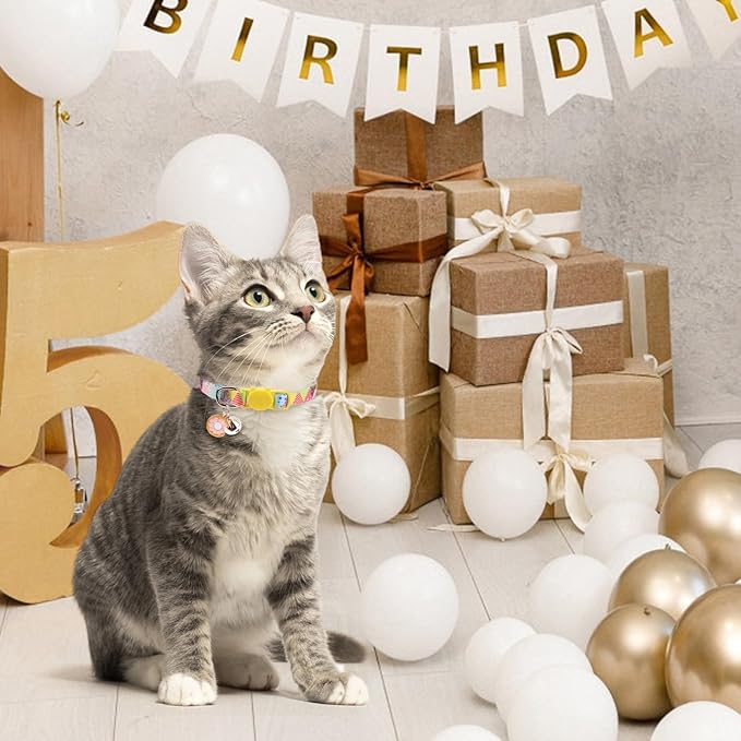 SCENEREAL Birthday Cat Collars Breakaway - Image 5
