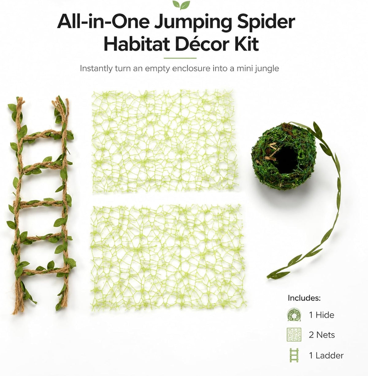 Magnetic Jumping Spider Enclosure Accessories