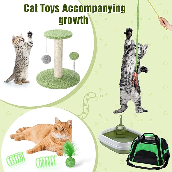 Eccliy Kitten Starter Kit, Pet Toy, Folding Carrier, Climbing Frame, Automatic - Image 7