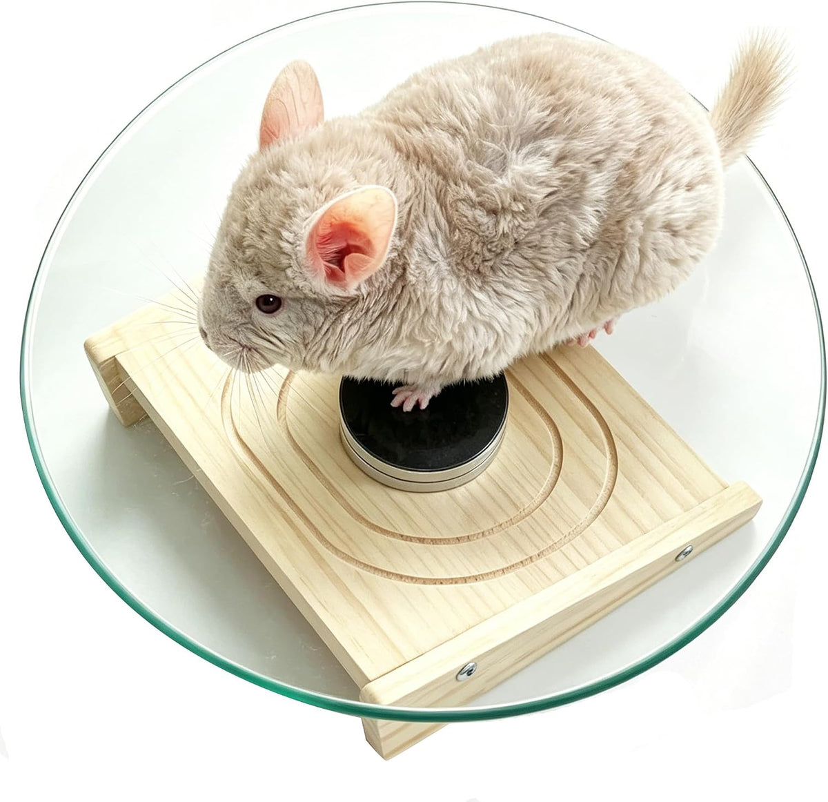 11" Silent Chinchilla Wheel Glass Chinchillas Exercise Wheel(11inch)